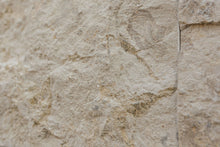 Carica l'immagine nel visualizzatore di Gallery, Jura Gelb